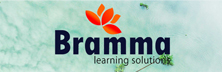 Bramma Learning Solutions: The Business Make Over Maverick