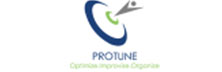 Protune Consulting: Building Optimized, Improvised and Organized Services 