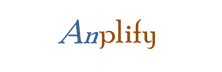 Anplify Services: Providing Execution Support for M&A and Investment Banking