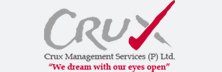Crux Management: Collaborating Innovation and Strategy to enhance Value