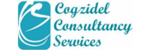 Cogzidel Consultancy Services: Creating Accounting and Other Business Advisory Solutions for Entrepreneur