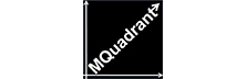 MQuadrant:  Redesigning Business for Growth, Profitability and Efficiency