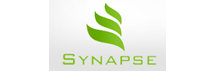 Synapse: Nourishing Diabetes Diagnostics through Technology and Software-based Services 
