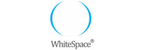 White Space Consulting and Capability Building: A Boutique Healthcare Consulting Firm Dedicated To Ensuring Sustained Growth Of Clients
