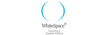 Whitespace Consulting And Capability Building: A Boutique Healthcare Consulting firm Dedicated to Ensuring Sustained Growth of Clients