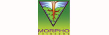 Morpho Thinkers: Facilitating Metamorphosis of the Mind