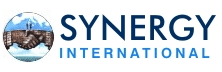 Synergy International: Custom-Designed Business Consultancy for International & Indian Investors