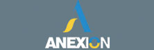 Anexion Transformation: Enhancing Businesses