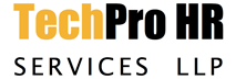 TechPro HR Services: A Reliable HCM Consultancy Firm Finding Candidates who Best Meet the Client's Hiring Criteria