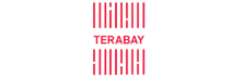Terabay: Enhance your Business with Ease 