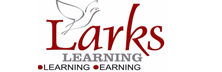 Larks Learning: Improving Organizational Productivity through Customized Corporate Training, Coaching and Psychometric Assessment