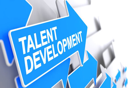 Unlocking Human Potential: The Role of Business Consultants in Talent Development