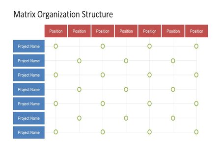 advantages of matrix organization