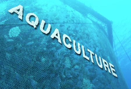 Aquaconnect Raises $4M for Aquaculture Expansion in India